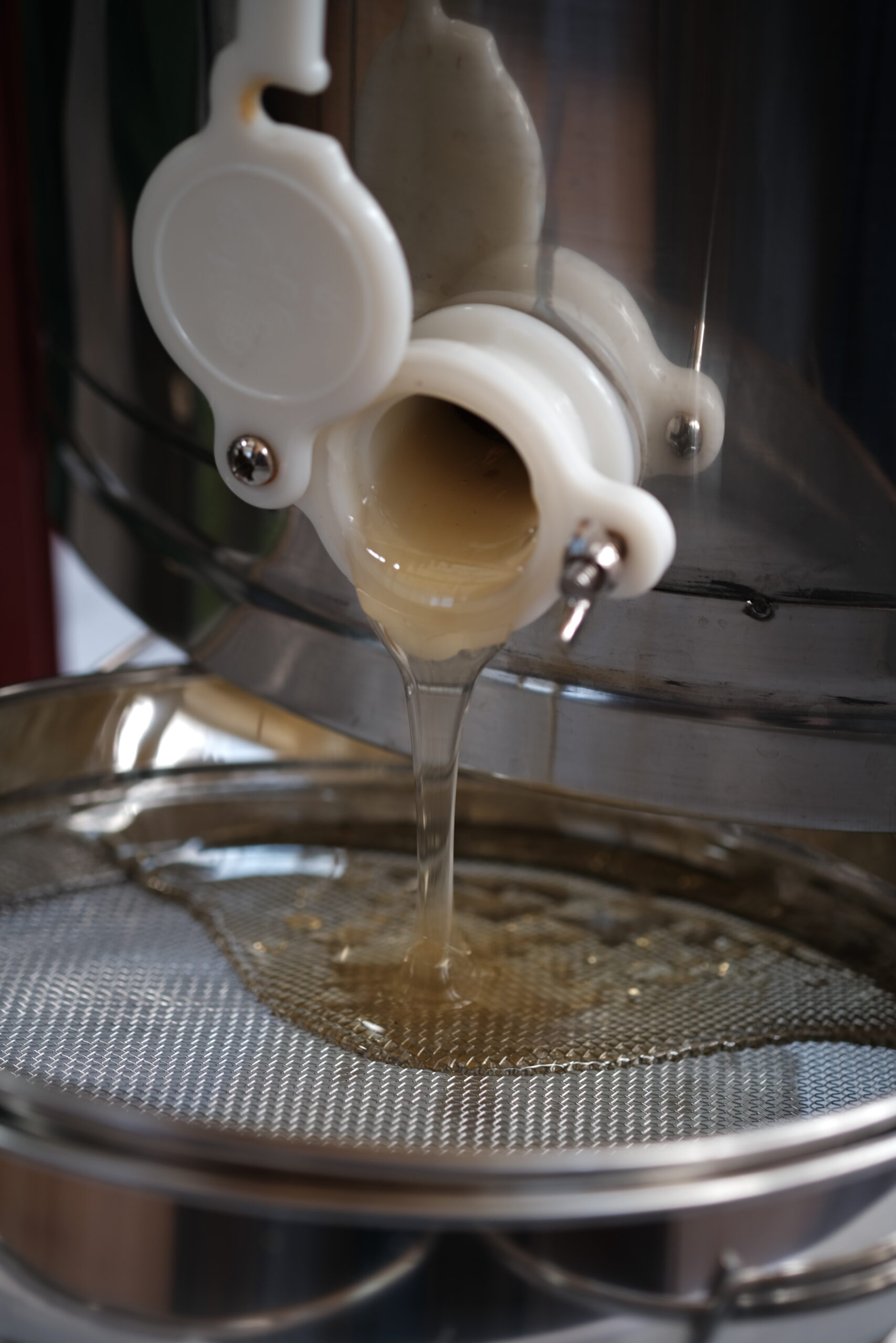 植物と人間_甘橘山_養蜂