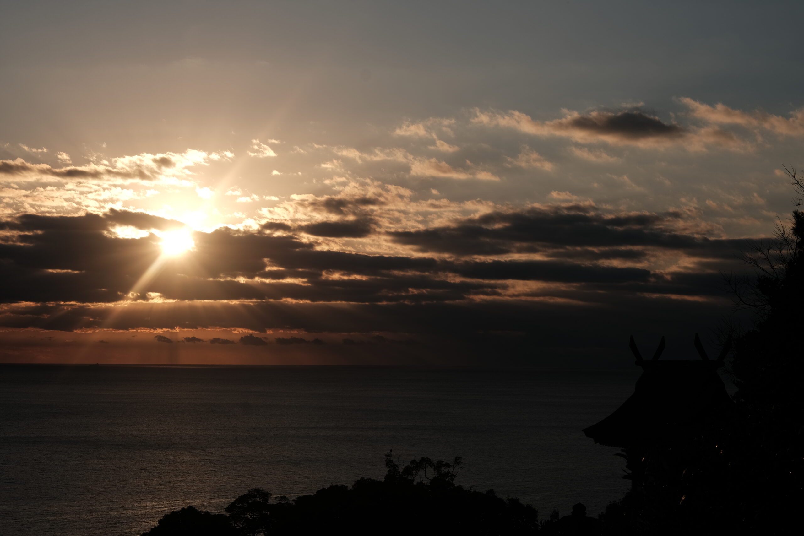 植物と人間2026年初日の出