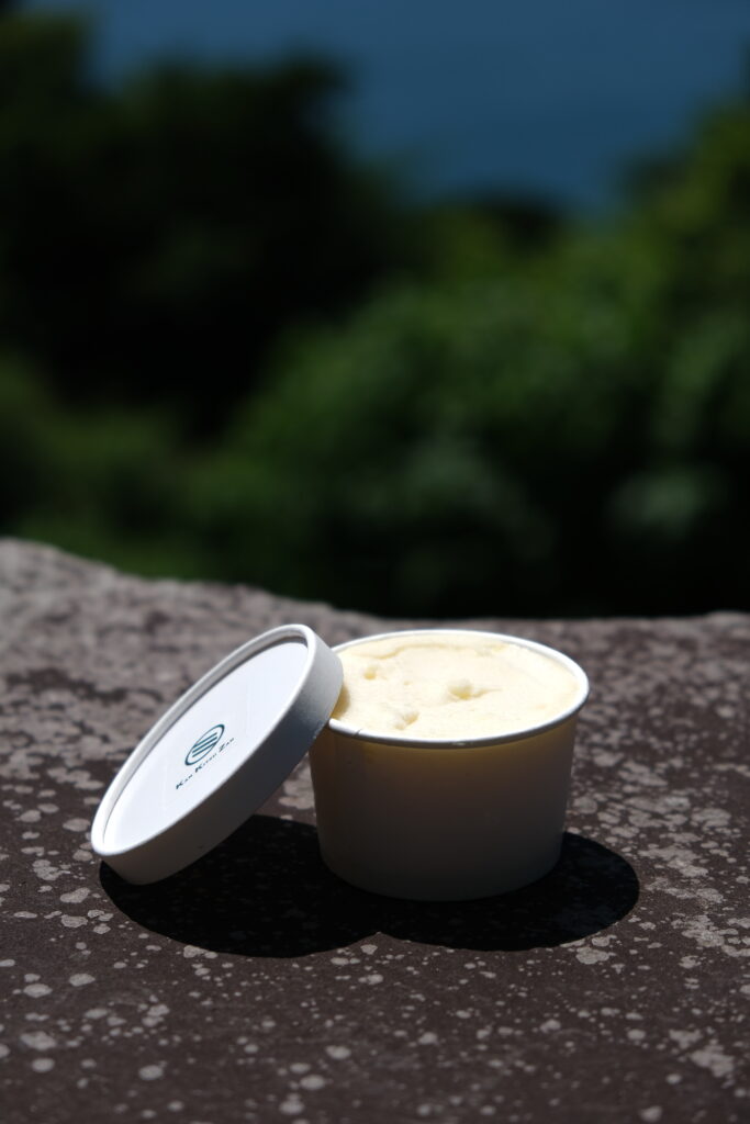 植物と人間_Stone age cafe_Gelato